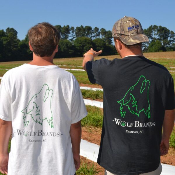 TShirt Back Angle